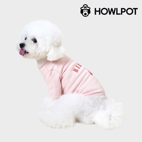 하울팟 X CASESTUDY 스웻셔츠 피치 강아지 티셔츠 외출복