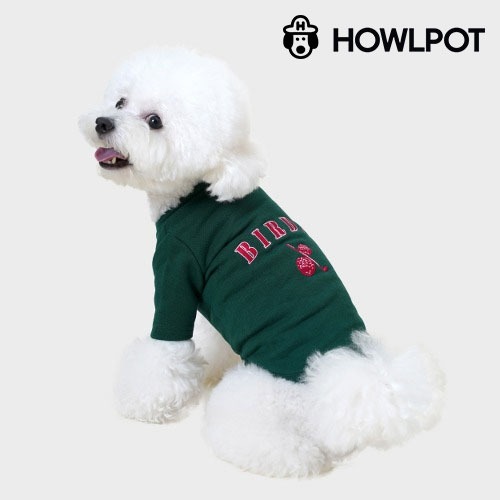 하울팟 X CASESTUDY 스웻셔츠 그린 강아지 티셔츠 외출복