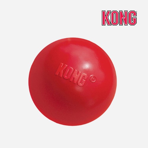 콩 KONG 볼 소형 강아지 공 놀이 천연 고무 탱탱볼 장난감 콩토이