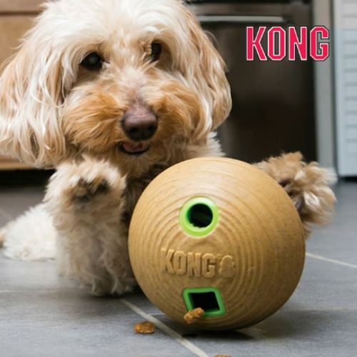 콩 KONG 밤부 볼 노즈워크 공 놀이 강아지 소형견 대형견 분리불안 장난감 콩토이